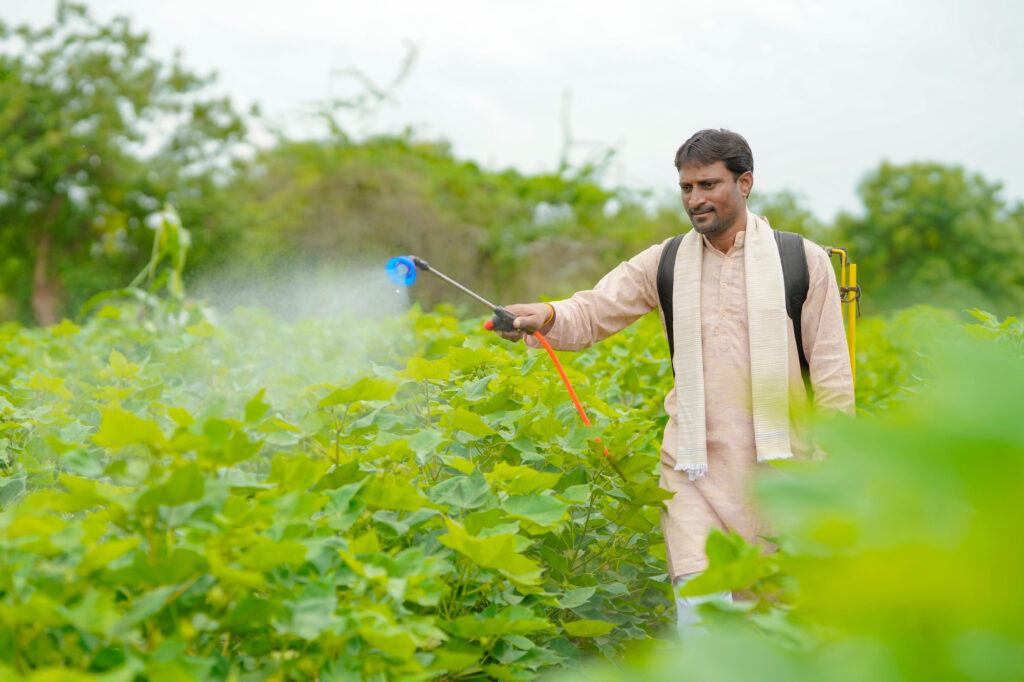 indian farmer spraying pesticide indian farmer spraying pesticide