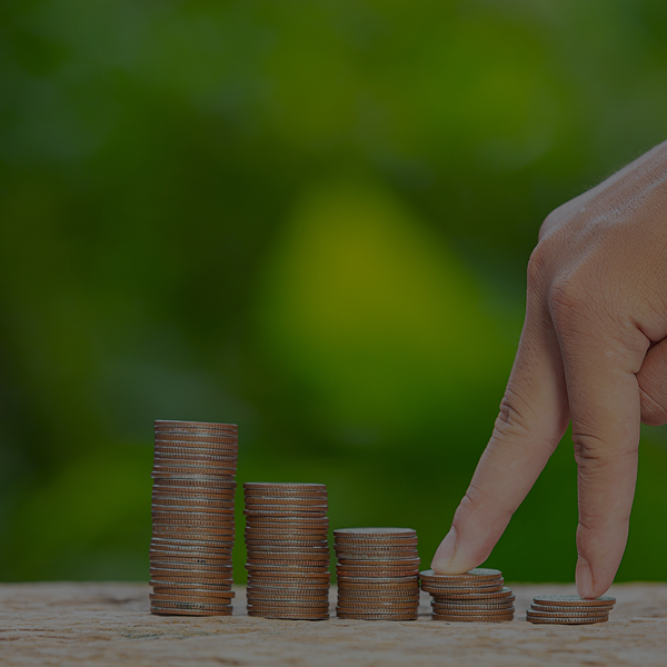 virtual advo revamp (19)