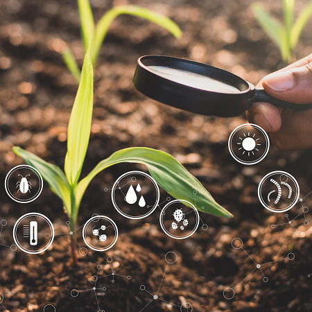 image from figma (4)